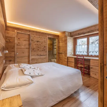 公寓 Casa Dolomiti, Panoramica E A Pochi Passi Dal Centro E Dalle Piste Da Sci 科尔蒂纳丹佩佐